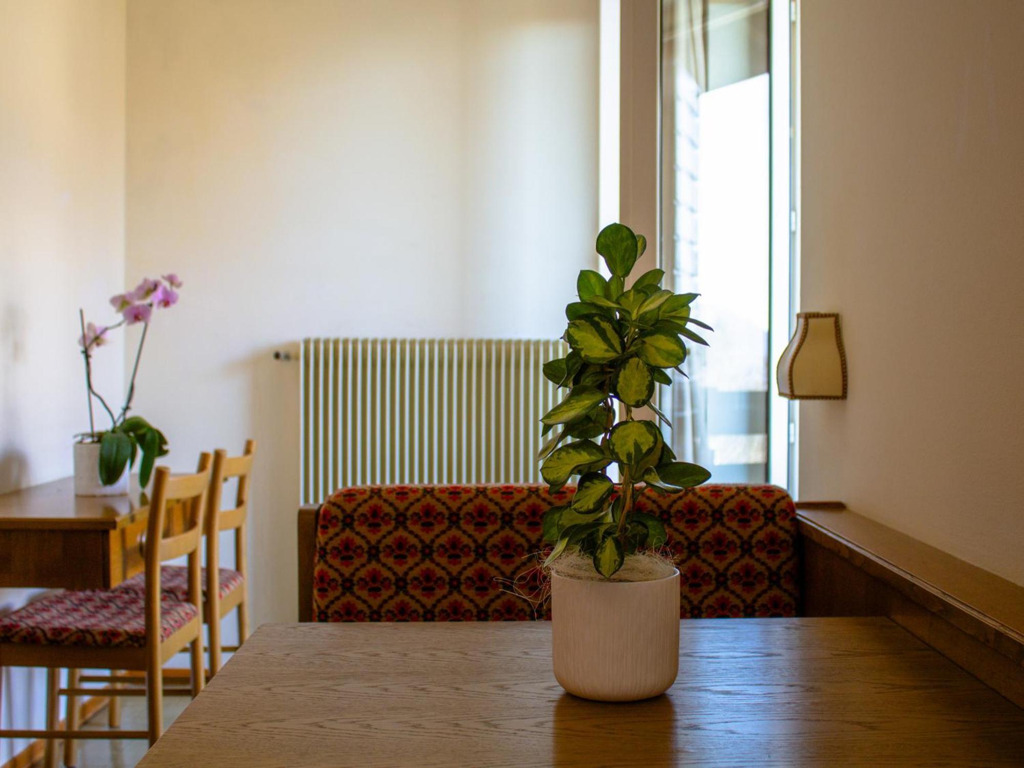 Locanda La Ruscoletta Telve Exteriör bild