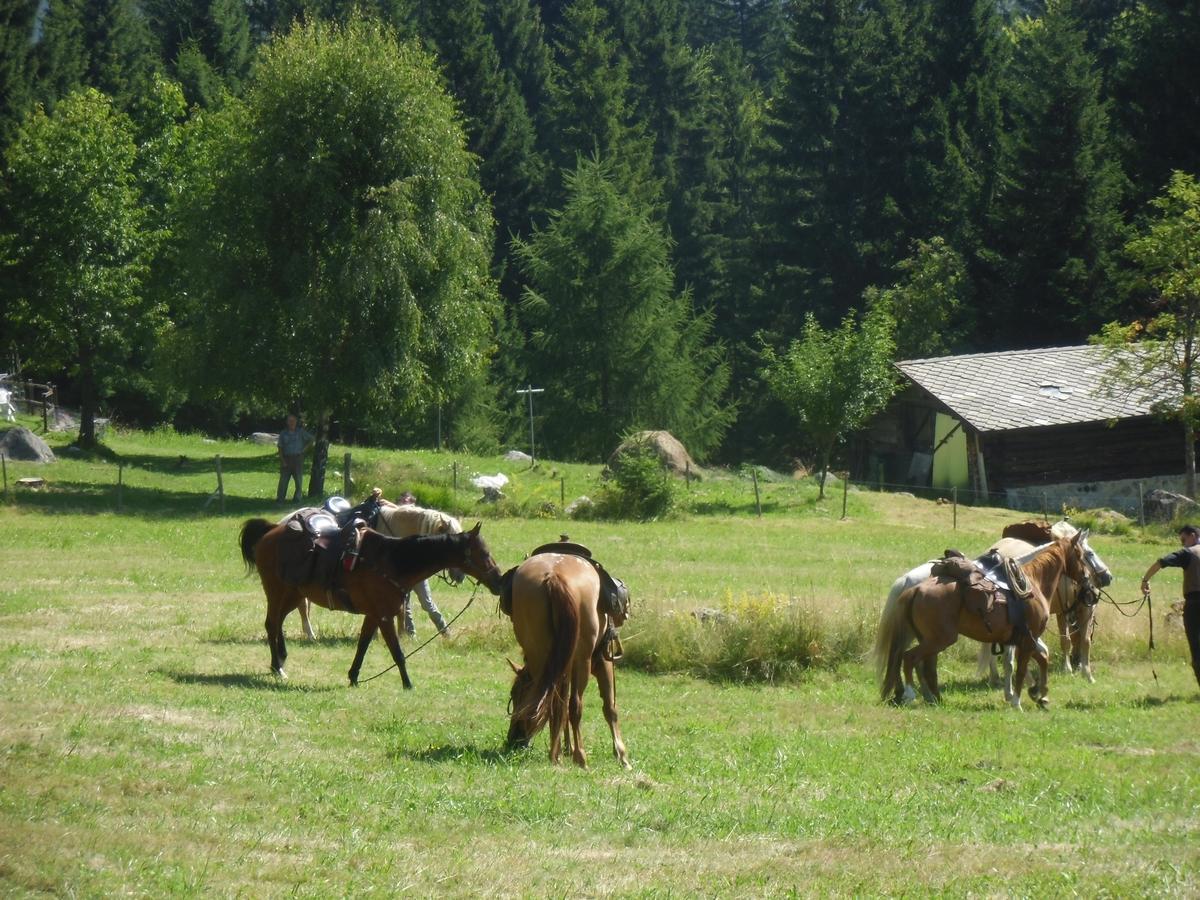 Locanda La Ruscoletta Telve Exteriör bild